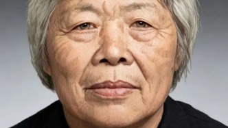“梅姨”落网后第四版画像曝光，肤色、皱纹等与初代有明显差异