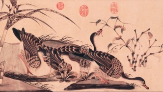 诗画节气｜白露三候“鸿雁来”