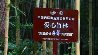 累计公益捐助超15亿元，中远海运携手熊猫中心发布“熊猫船长守护家园”计划