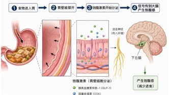 吃饭时1个小习惯，竟然能防4种病？一日三餐这样做，身体会感谢你