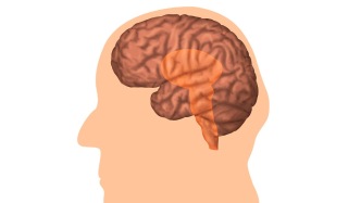一个被严重低估的训练：帕金森患者的发声练习