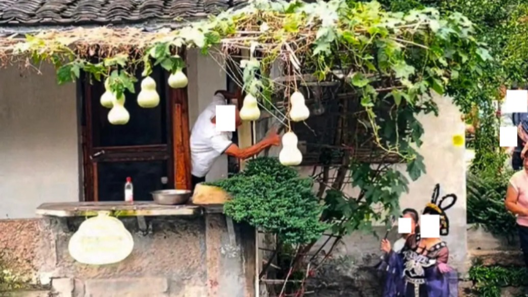 “葫芦娃爷爷”剪除网红葫芦,绍兴文旅:系老人自己的决定,曾有游客试图进入老宅拍照