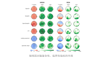 一杯咖啡，比熬夜更伤脑？Nature子刊：熟睡时，咖啡因仍在扰乱脑电波，“偷走”深度睡眠修复力；且还搅动激素平衡，引爆代谢危机