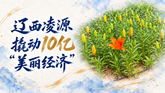 单项冠军县，何以扛打丨辽西凌源撬动10亿“美丽经济”