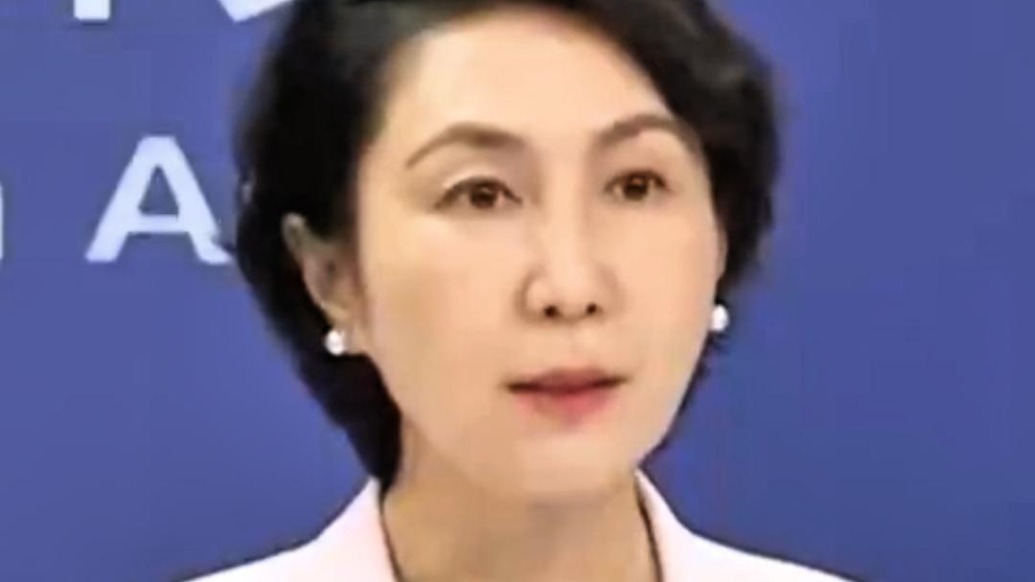禁止化学武器组织代表团应邀来华访问，外交部回应