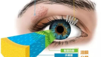 秋天到了，别忘了给眼睛做“保湿”