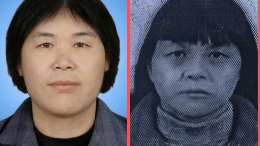 “梅姨”真户籍是假年龄,假户籍是真年龄