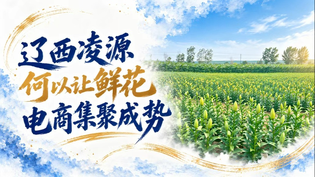 单项冠军县，何以扛打｜辽西凌源何以让鲜花电商集聚成势