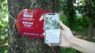 来西双版纳听植物“说话”