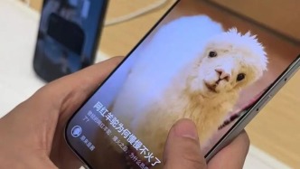 深观察｜一个宜居社会，需要更好的“可供性”
