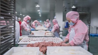 活力中国调研行｜“毛孩子”如何吃出大产业？