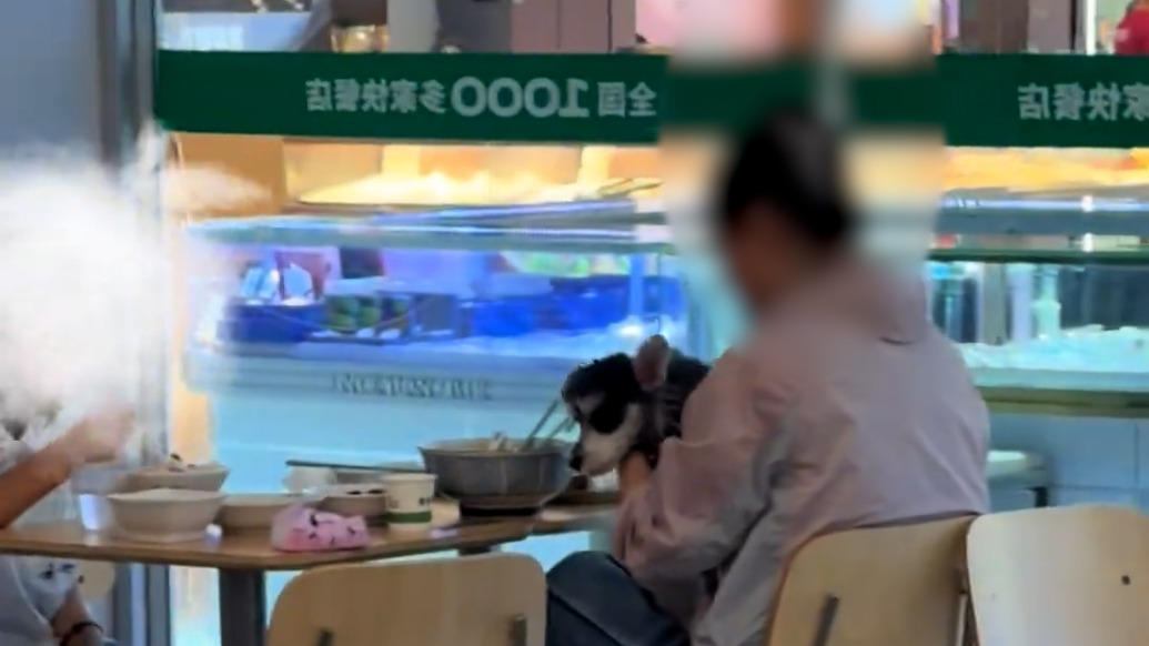 顾客携宠物狗进店疑似近距离接触餐具，老乡鸡：涉事门店闭店整改，餐具报废更换