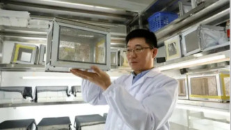 从给蚊子“治病”到人工智能预测医学：中国创新走出实验室走向全球南方