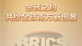 近镜头丨金砖之约，共绘全球南方新图景