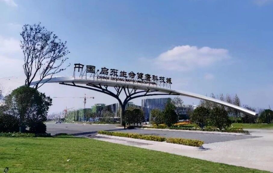 50公里，一个产业链的闭环：喜看沪启产业相融