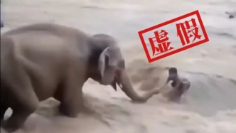 明查·聚焦｜大象在洪水中救人？监控拍到怪物？“AI泔水”正批量复制“感动”