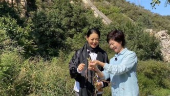 倪萍凌晨发长文悼念敬一丹：对不起，三千公里山海相隔，我终究无法赶回去送你最后一程