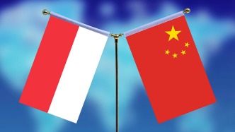 中央军委副主席张升民会见印度尼西亚国防部长