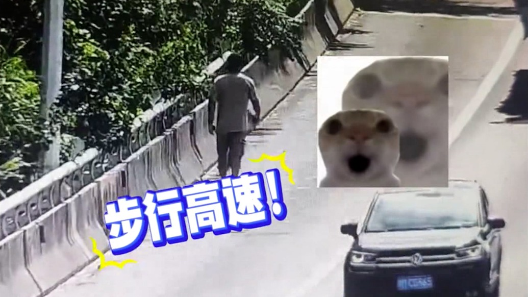 货车司机想步行上高速大桥观景被罚,民警一个暖心举动圆了他的拍照愿望