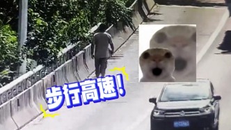 货车司机想步行上高速大桥观景被罚，民警一个暖心举动圆了他的拍照愿望