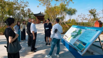感知幸福中国河北行｜在雄安，看一座新城的生长现场
