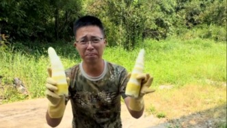 马上评丨用硫磺熏竹笋，食品监管不能总靠博主曝光