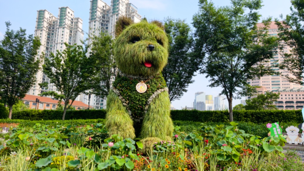 “潦草小狗”将换秋装,背后是园林人的大胆尝试