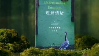 与其说情绪是一种判断，不如说它更像是一种知觉