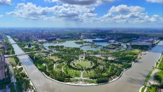 奉贤：数据奔流，直抵民心