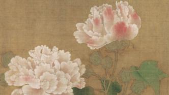 诗画节气｜秋分，木芙蓉的拒霜花语