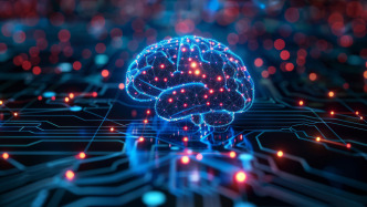 最新研究发现：人脑可视为两个独立的器官