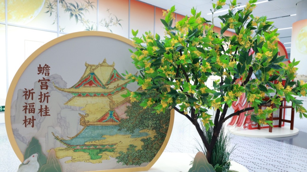 新闻配图