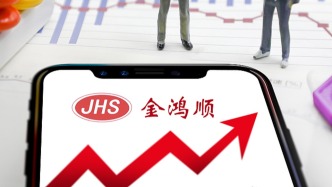 ST金鸿顺：控股股东质押的896万股股份已触及违约，实控人失联9个月并被列为失信被执行人