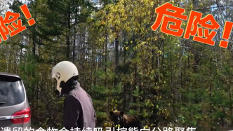 大兴安岭北部发生多起棕熊扒车围堵险情，森林管护局发布紧急提醒