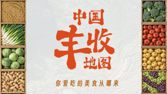 中国丰收地图，你爱吃的美食从哪来