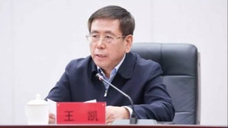 王凯辞去河南省人民政府省长职务