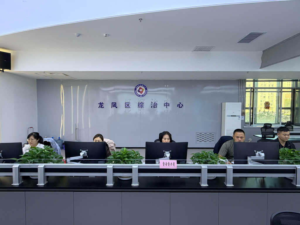 大庆市龙凤区:深耕基层善治用心用情化解群众烦心事