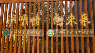 新项目、新赛道、新方向，沪明合作助力三明产业升级