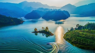山海不为远：沪明合作的三明答卷