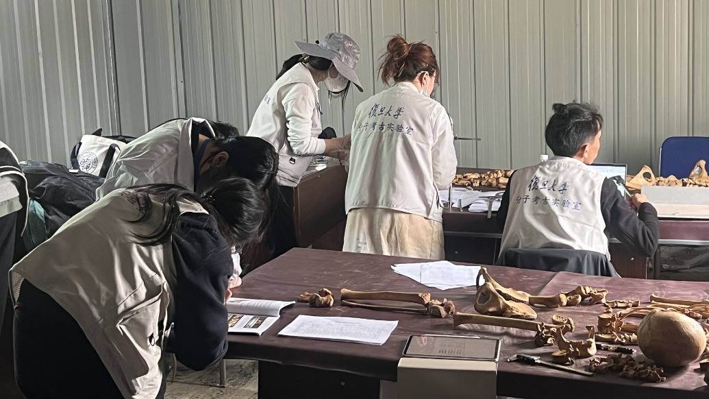 追光的你丨十余年为烈士寻亲:让遗骸“开口”,让忠魂有归