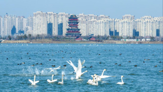 “蔚然新滁州”2026滁州市第六届网络评论大赛启动