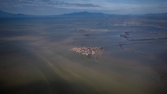 随着海平面上升，被淹沿海陆地将成海洋动物扩张的潜在栖息地