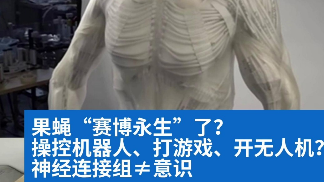 明查|果蝇“赛博永生”了?且慢,神经连接组≠意识