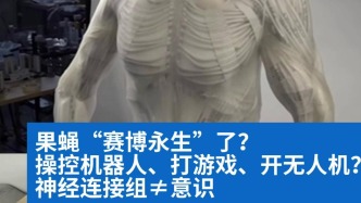 明查｜果蝇“赛博永生”了？且慢，神经连接组≠意识

