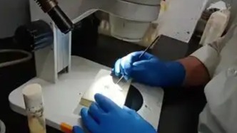 马上评｜“101名技校毕业生入职北大”的误解与新解