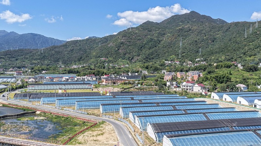 农业农村部:突出科技改革双轮驱动,加快推进农业农村现代化
