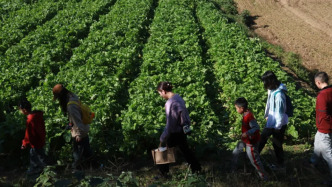 茶山栗海 · 山野拾秋｜国庆假期亭城文旅双民宿邀你进山入野