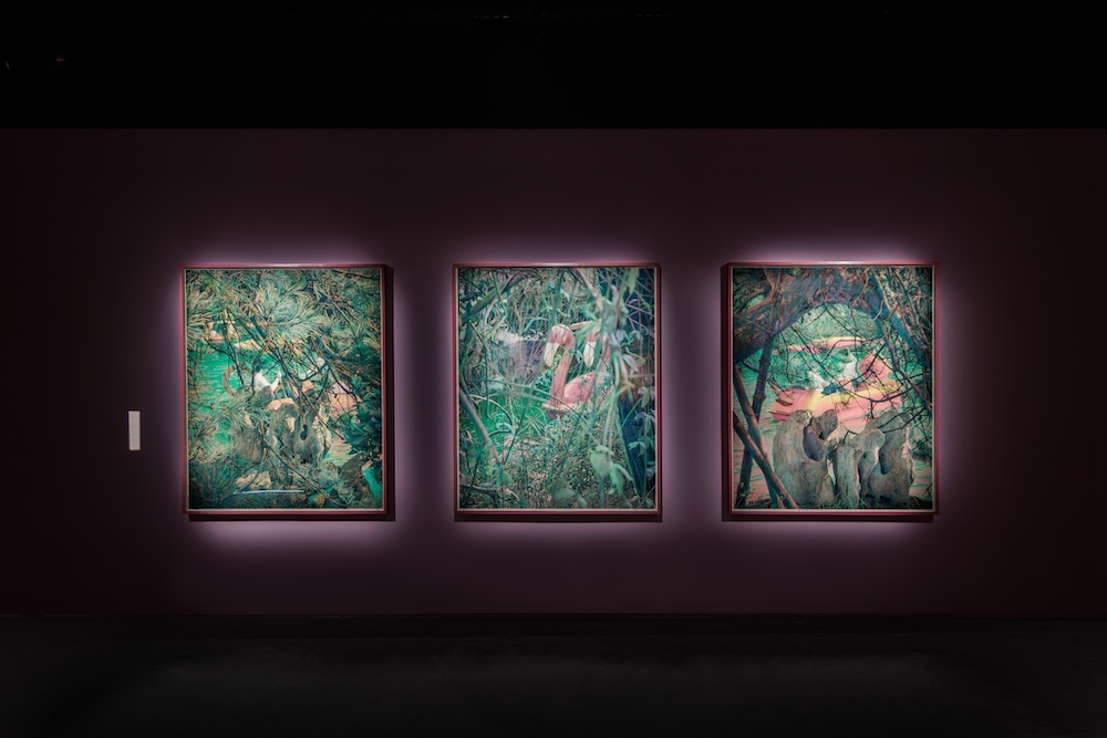 Fotografiska深圳开馆展,呈现摄影不同面向
