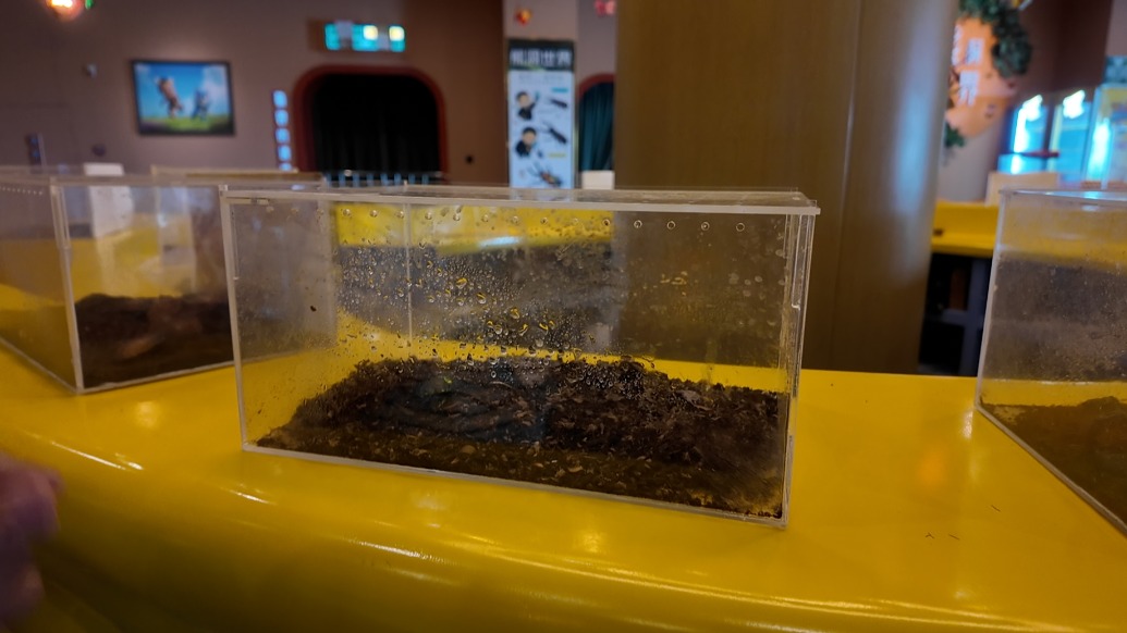 科普无从知晓、展品难辨物种,宁波鲸途海洋乐园多处标示牌缺位遭吐槽
