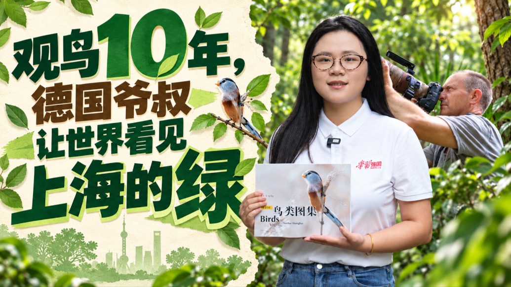 观鸟10年,德国爷叔让世界看见上海的绿